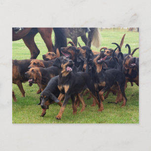 Carte Postale sac de sang