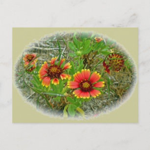 Carte Postale Sac fourre-tout Fleur sauvage Gaillardia (Fleur Bl