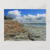 Carte Postale Sachuest Beach Newport Middletown (Devant)