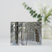 Carte postale Saco Health Preserve Snow (Debout devant)