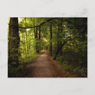 Carte Postale Sacred Grove, Palmyre, New York