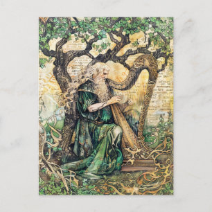 Carte Postale Sacrificateur céleste druide de la nature