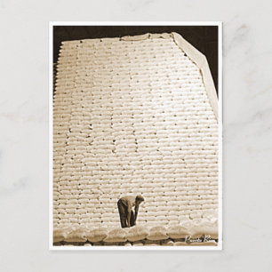 Carte Postale Sacs à sucre, Histoire, Porto Rico