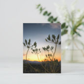 Carte Postale Saddle Rock Sunset (Debout devant)