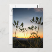 Carte Postale Saddle Rock Sunset (Devant / Derrière)