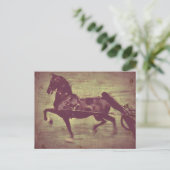 Carte Postale Saddlebred Song (Debout devant)