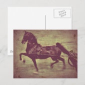 Carte Postale Saddlebred Song (Devant / Derrière)