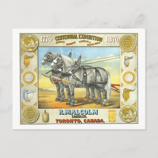 Carte Postale Saddler Centennial Exposition Publicité (Devant)