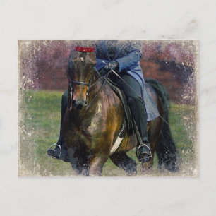 Carte Postale Saddleseat