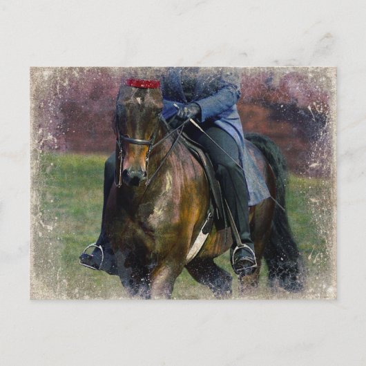 Carte Postale Saddleseat (Devant)