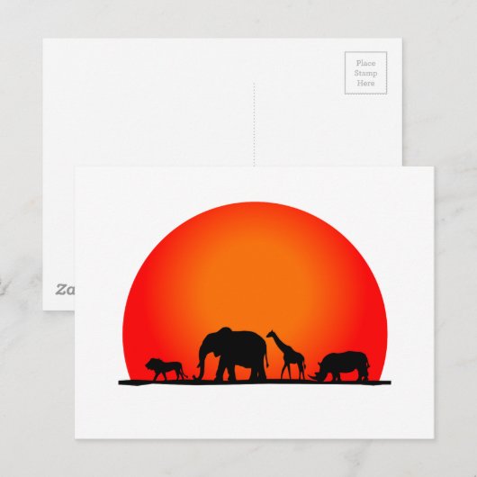 Carte Postale Safari (Devant / Derrière)