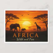 Carte postale safari (Devant)
