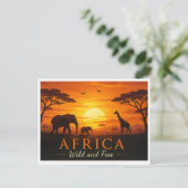 Carte postale safari (Debout devant)