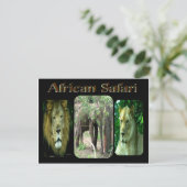 Carte Postale Safari africain (Debout devant)