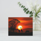 Carte Postale Safari Africain Sunset Animal Silhouettes (Debout devant)