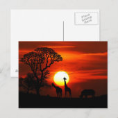 Carte Postale Safari Africain Sunset Animal Silhouettes (Devant / Derrière)