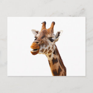 Carte Postale Safari Afrique Jungle Giraffe