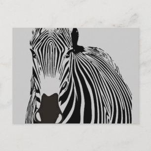 Carte Postale safari animal black and white stripes wild Zebra