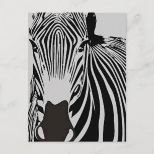 Carte Postale safari animal black and white stripes wild Zebra