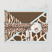 Carte postale Safari Boy TY (Devant)