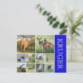 Carte Postale safari kruger (Debout devant)