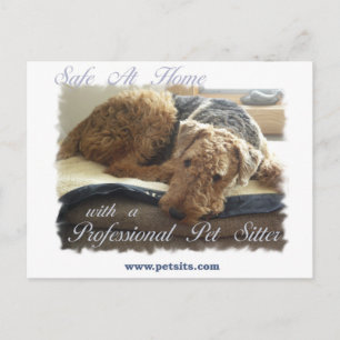 Carte Postale Safe At Home with a Professional Pet Sitter