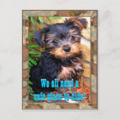 Carte postale Safe Place (Devant)