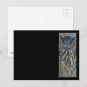 Carte Postale Sage (Devant / Derrière)