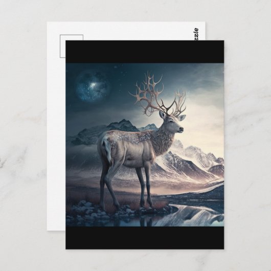 Carte Postale Sage reindeder (Devant / Derrière)