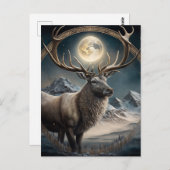 Carte Postale Sage reindeder (Devant / Derrière)