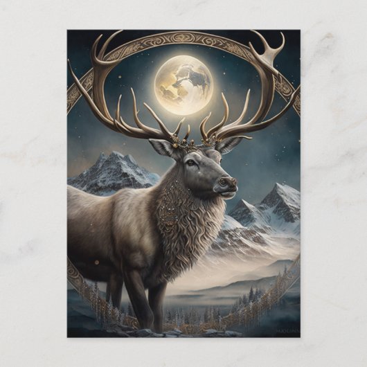 Carte Postale Sage reindeder (Devant)