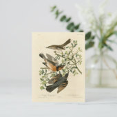 Carte Postale Sage Thrasher and Varied Thrush, Audubon's Birds (Debout devant)
