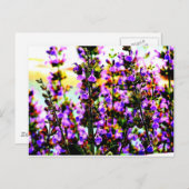 Carte Postale sagefler (Devant / Derrière)