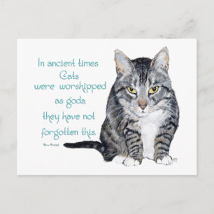 Carte Postale Sagesse de chat - dans les temps anciens, les chat