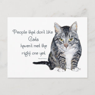 Carte Postale Sagesse de chat - Personnes qui n'aiment pas les c