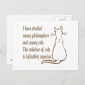 Carte Postale Sagesse des chats (Devant / Derrière)