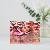 Carte Postale Sagesse Flamant rose (Debout devant)