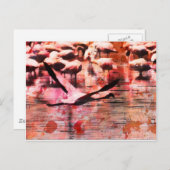 Carte Postale Sagesse Flamant rose (Devant / Derrière)