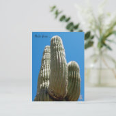 Carte postale Saguaro (Debout devant)