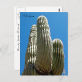 Carte postale Saguaro (Devant / Derrière)