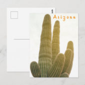 Carte Postale Saguaro (Devant / Derrière)