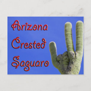 Carte Postale Saguaro à crête d'Arizona