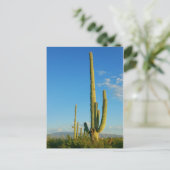 Carte Postale Saguaro Cactus (Debout devant)