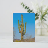 Carte Postale Saguaro Cactus (Debout devant)