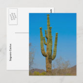 Carte Postale Saguaro Cactus (Devant / Derrière)