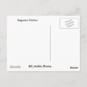 Carte Postale Saguaro Cactus (Dos)