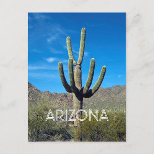 Carte postale Saguaro Cactus