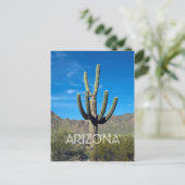 Carte postale Saguaro Cactus (Debout devant)