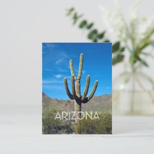 Carte postale Saguaro Cactus (Debout devant)
