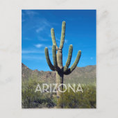 Carte postale Saguaro Cactus (Devant)